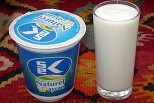 ayran1