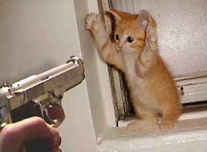 cat burglar1
