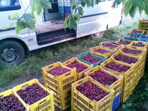 photo verybig 252840