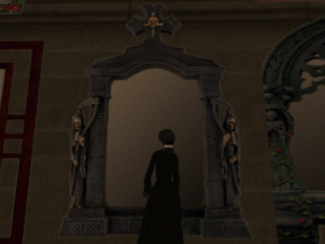 magic_mirror magic mirror